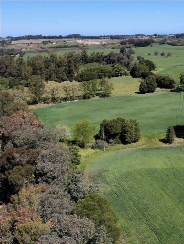 FINANCIA!!! IMPERDIBLE CAMPO AGRICOLO GANADERO 75 HAS BATAN