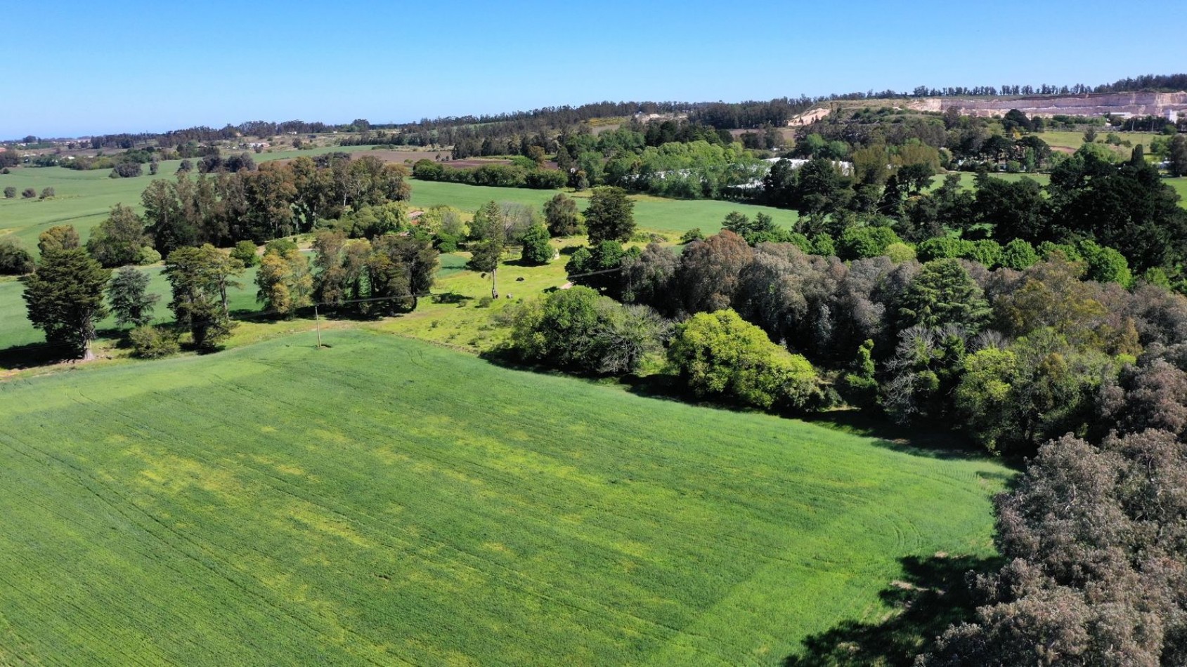 FINANCIA!!! IMPERDIBLE CAMPO AGRICOLO GANADERO 75 HAS BATAN