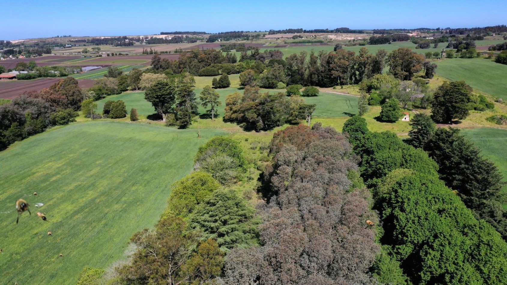 FINANCIA!!! IMPERDIBLE CAMPO AGRICOLO GANADERO 75 HAS BATAN