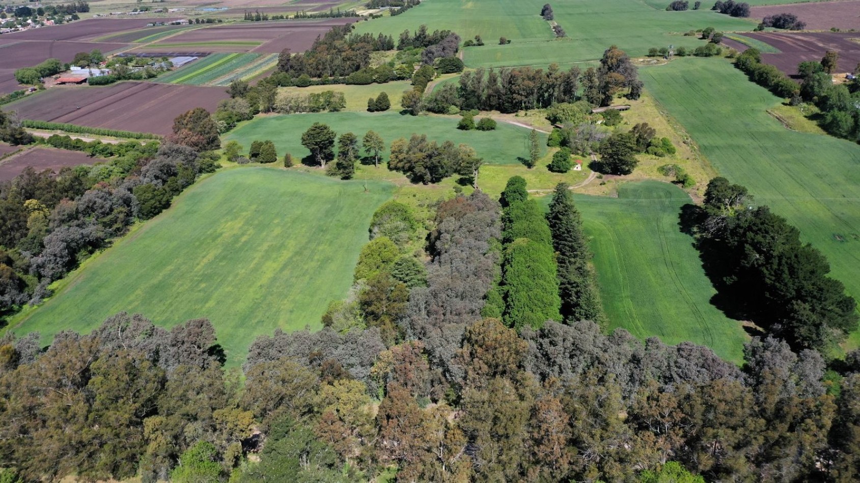 FINANCIA!!! IMPERDIBLE CAMPO AGRICOLO GANADERO 75 HAS BATAN