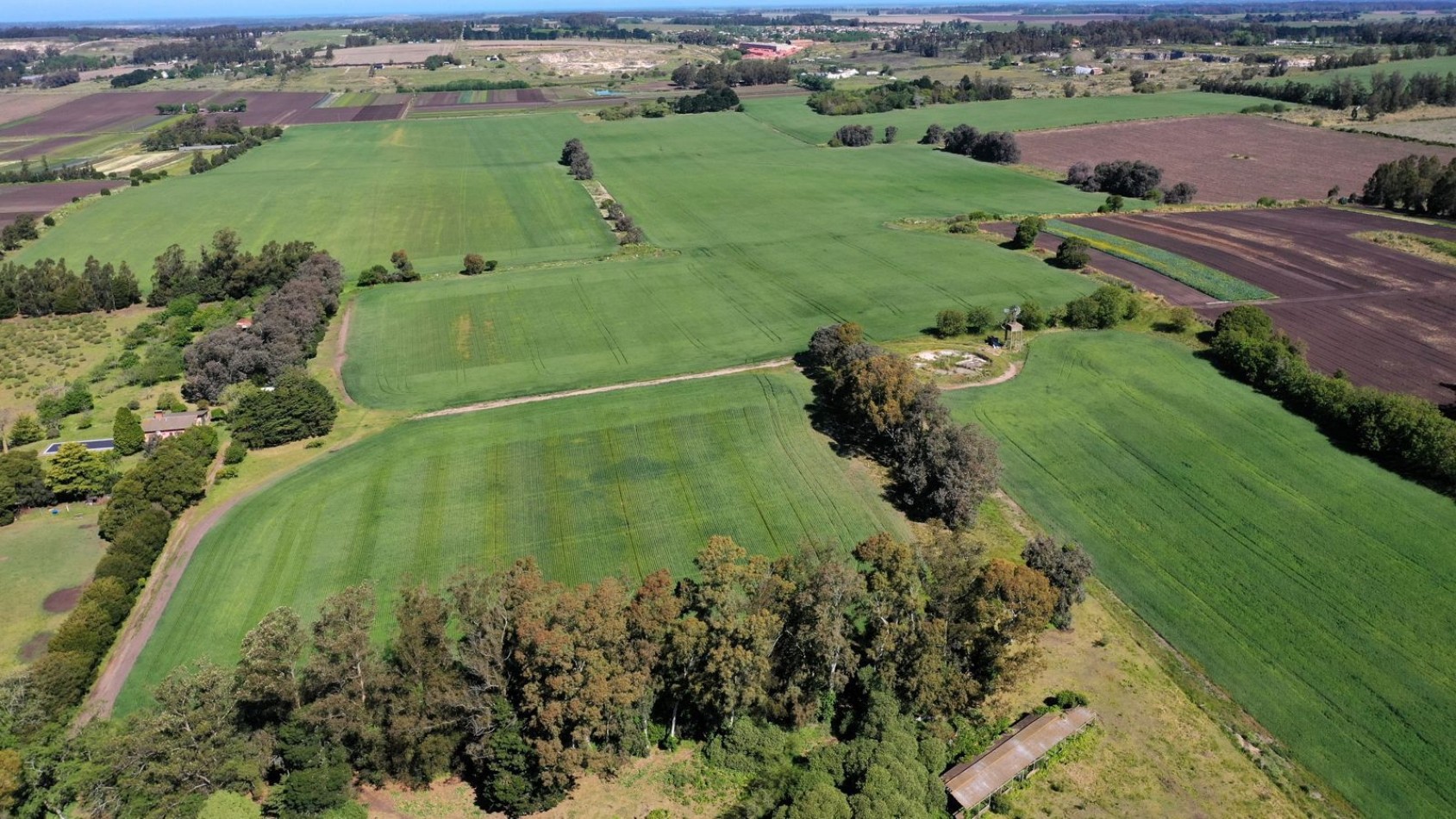 FINANCIA!!! IMPERDIBLE CAMPO AGRICOLO GANADERO 75 HAS BATAN