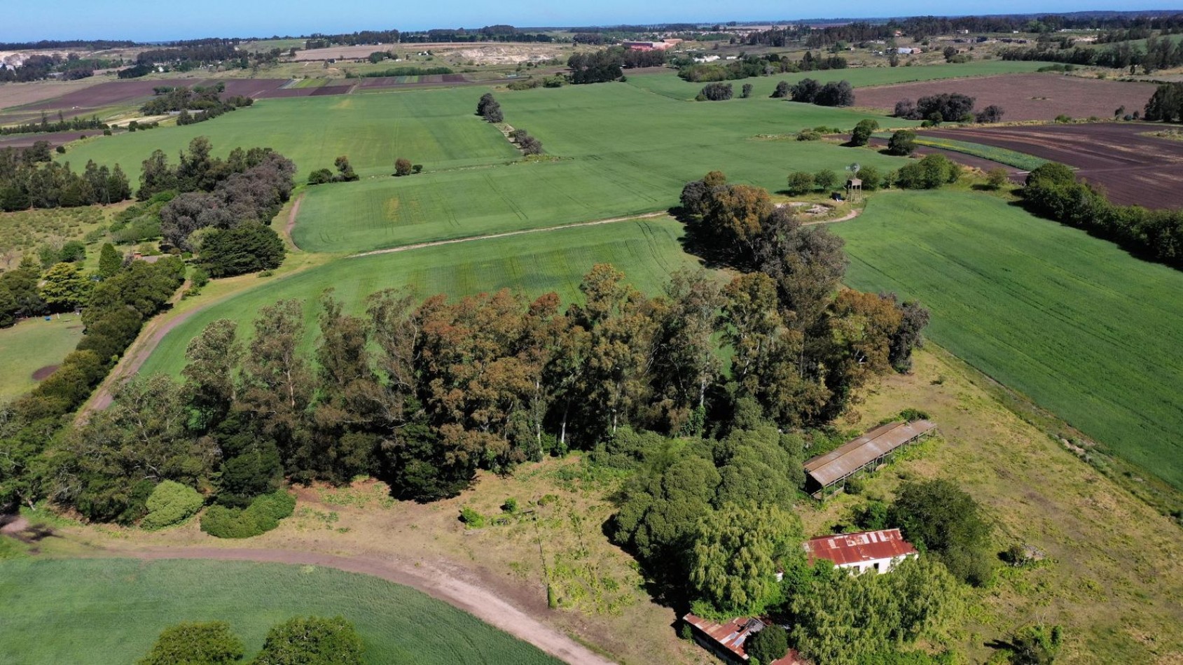 FINANCIA!!! IMPERDIBLE CAMPO AGRICOLO GANADERO 75 HAS BATAN