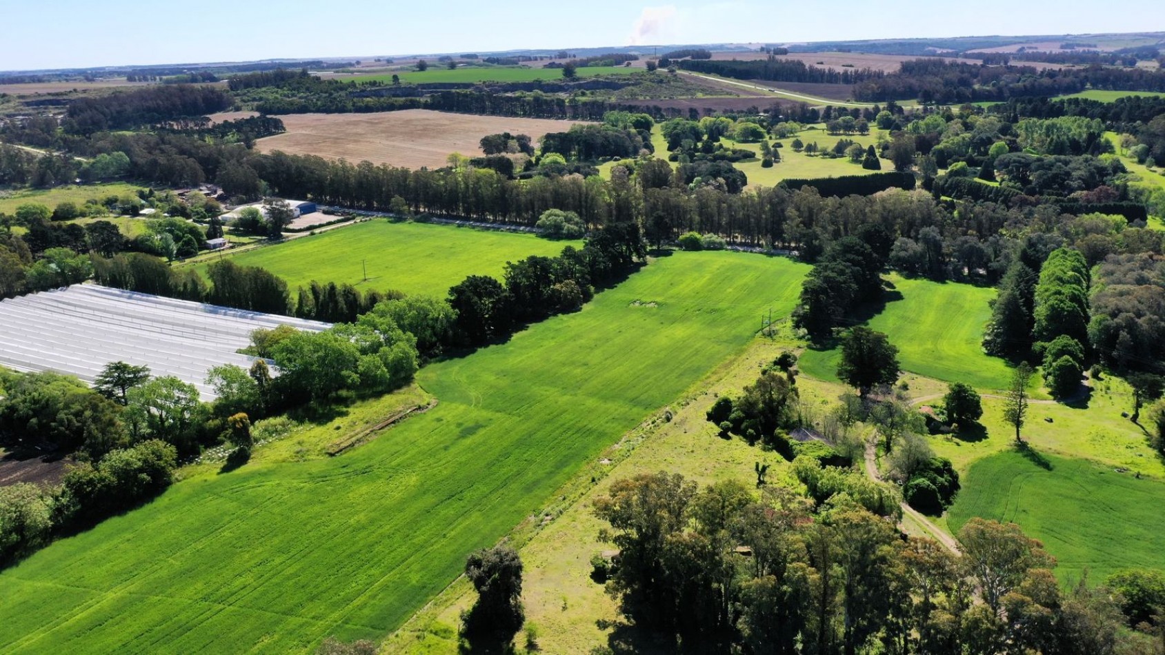FINANCIA!!! IMPERDIBLE CAMPO AGRICOLO GANADERO 75 HAS BATAN
