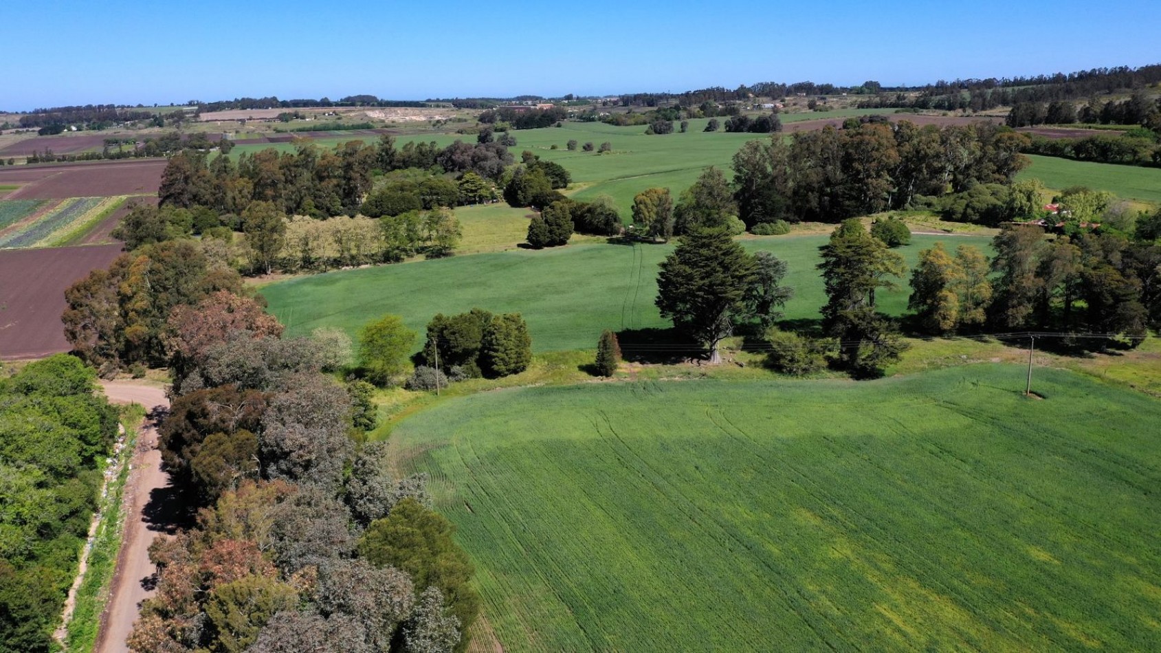 FINANCIA!!! IMPERDIBLE CAMPO AGRICOLO GANADERO 75 HAS BATAN