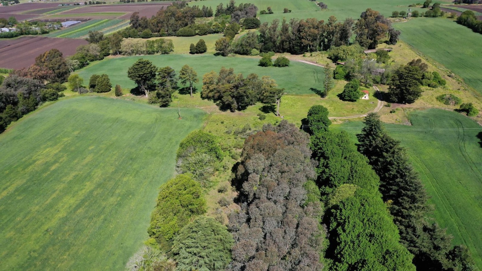 FINANCIA!!! IMPERDIBLE CAMPO AGRICOLO GANADERO 75 HAS BATAN