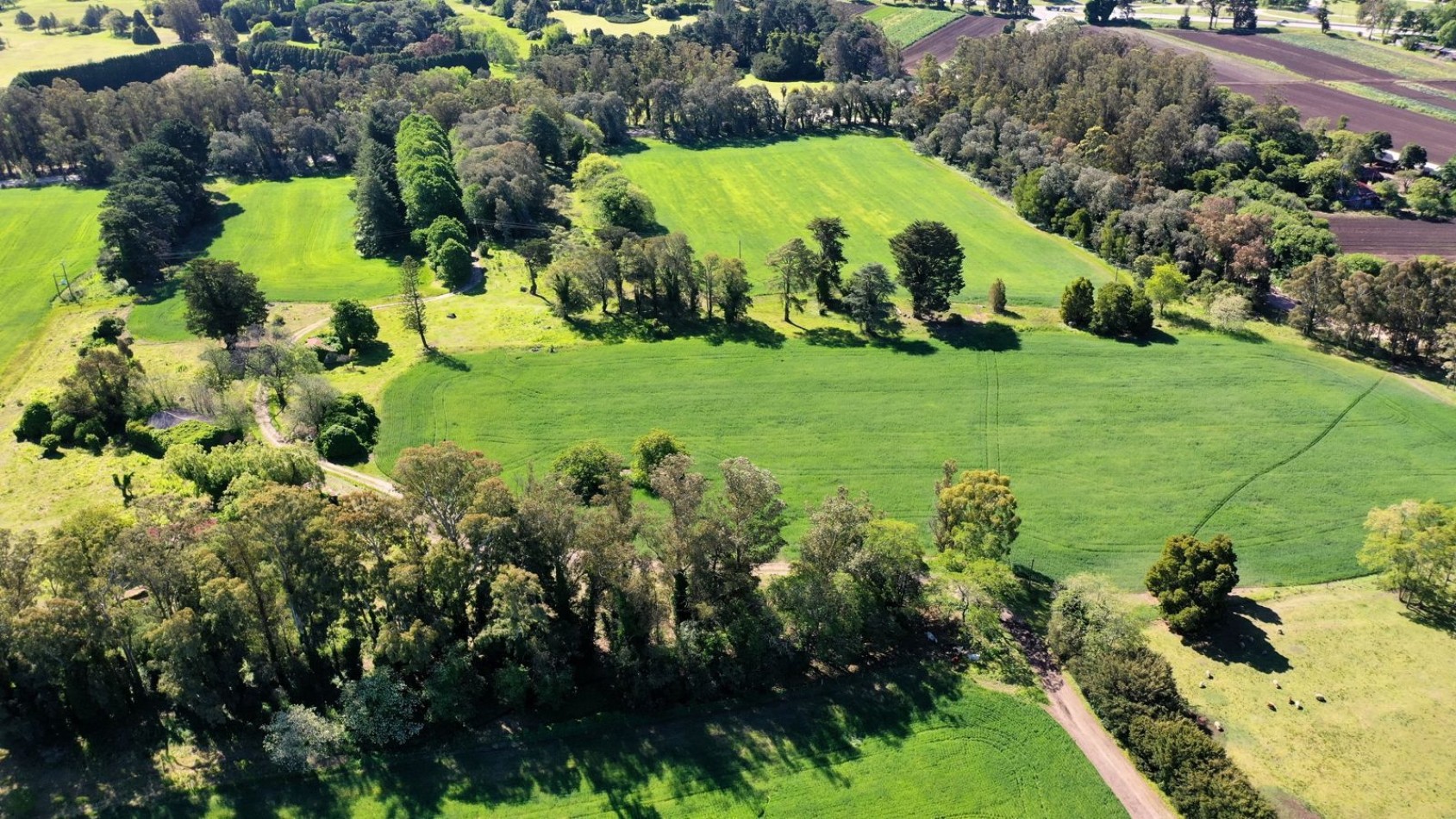 FINANCIA!!! IMPERDIBLE CAMPO AGRICOLO GANADERO 75 HAS BATAN