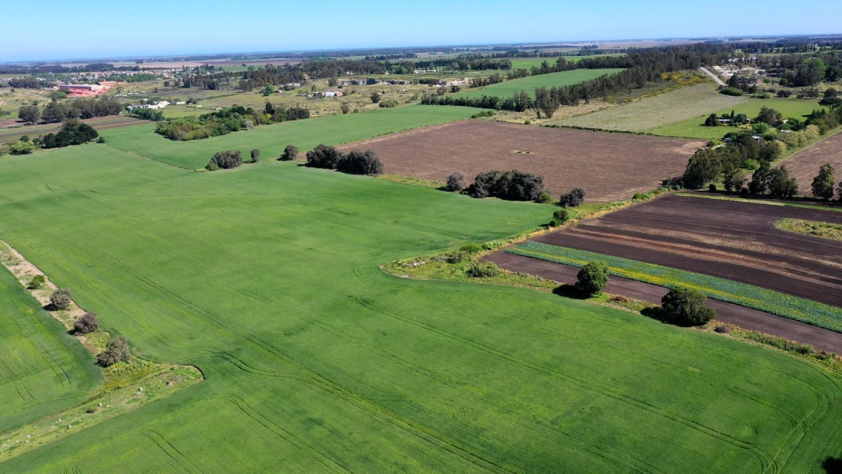 FINANCIA!!! IMPERDIBLE CAMPO AGRICOLO GANADERO 75 HAS BATAN