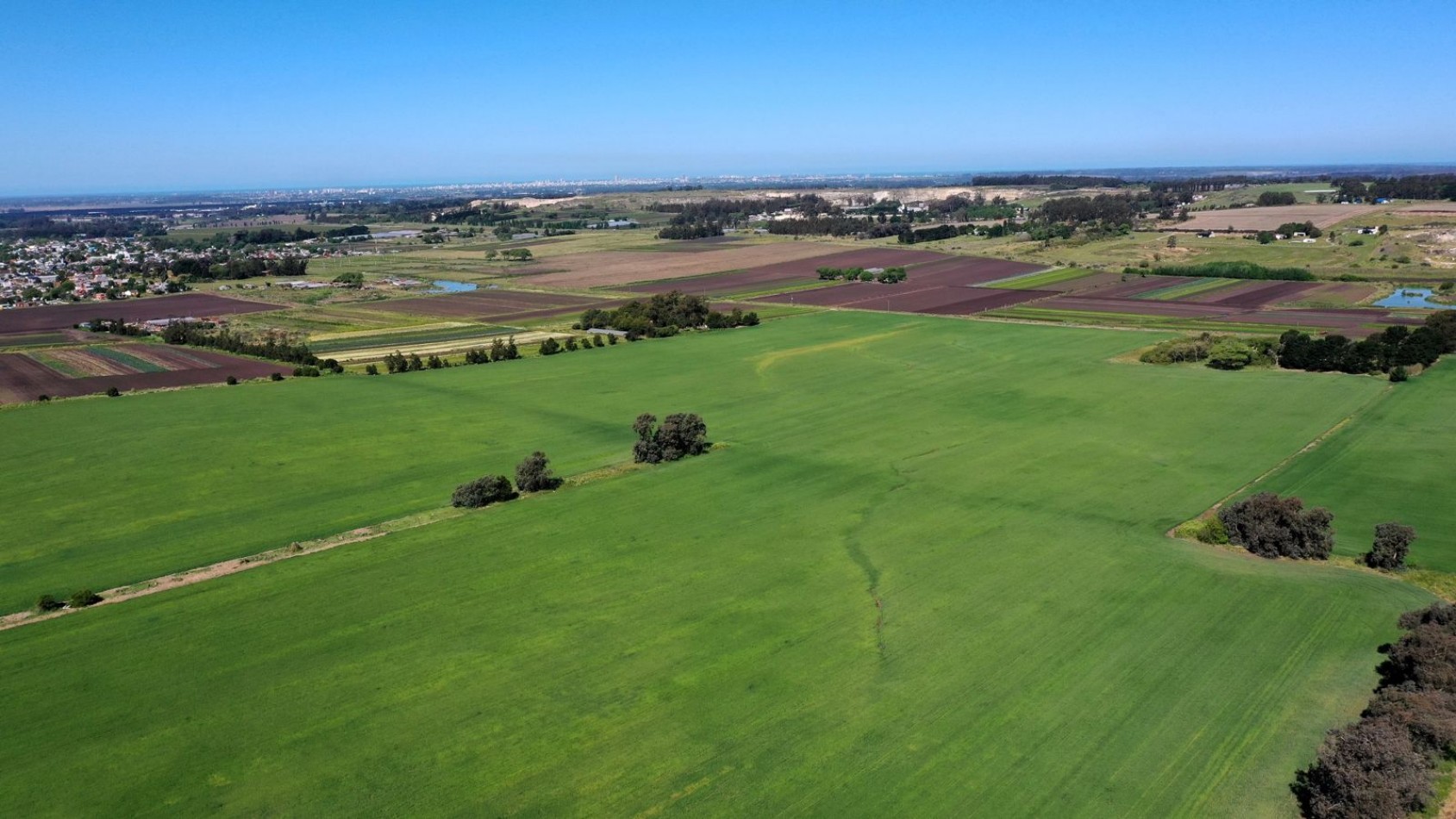 FINANCIA!!! IMPERDIBLE CAMPO AGRICOLO GANADERO 75 HAS BATAN