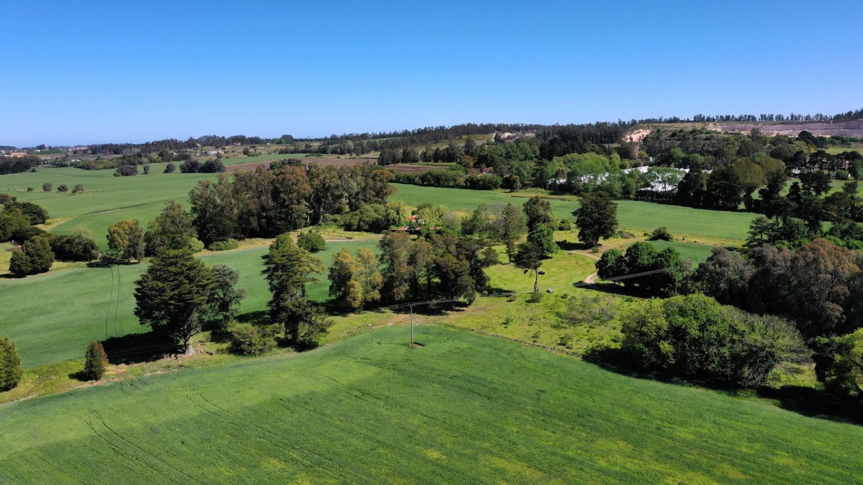 FINANCIA!!! IMPERDIBLE CAMPO AGRICOLO GANADERO 75 HAS BATAN