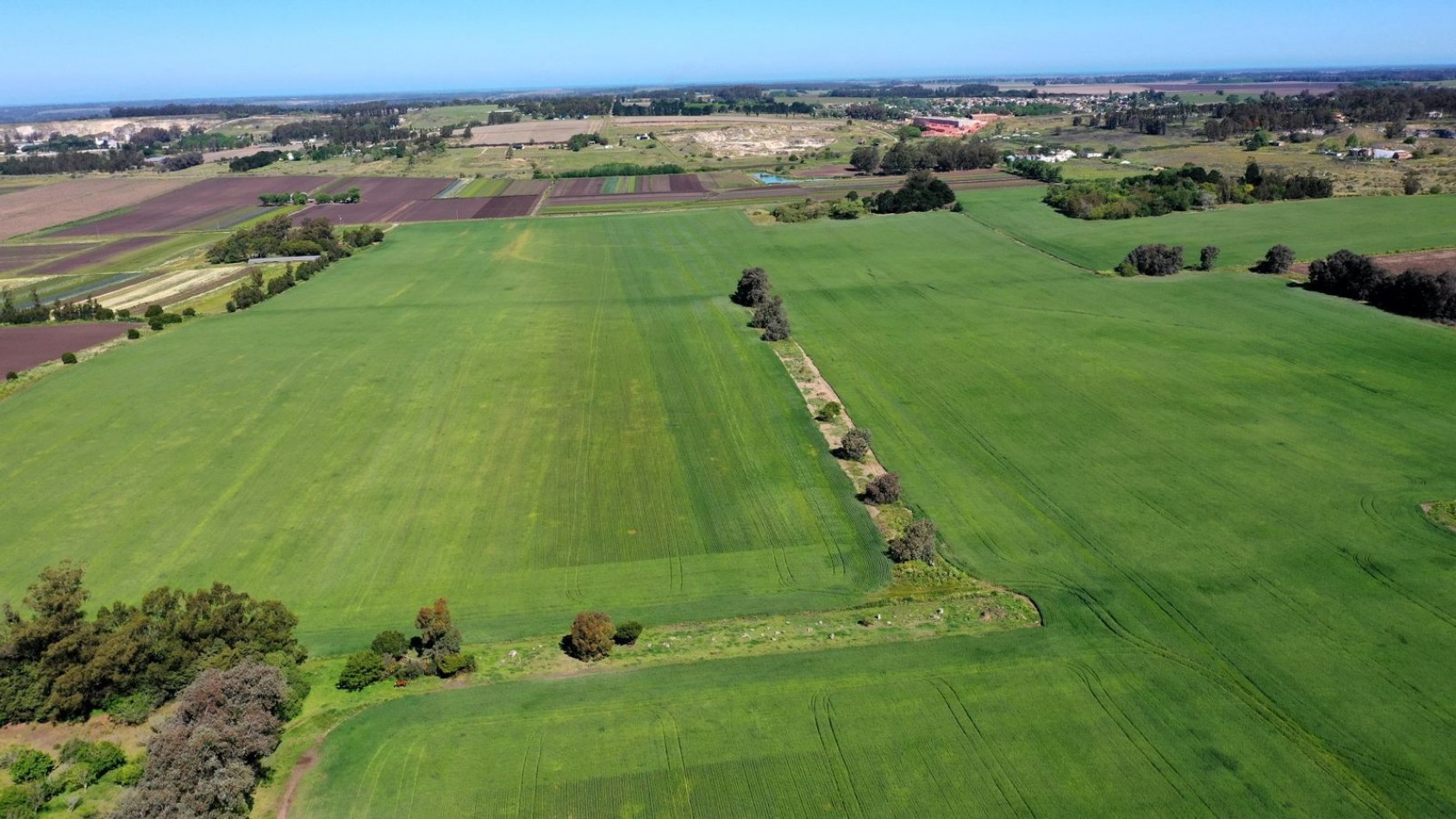 FINANCIA!!! IMPERDIBLE CAMPO AGRICOLO GANADERO 75 HAS BATAN
