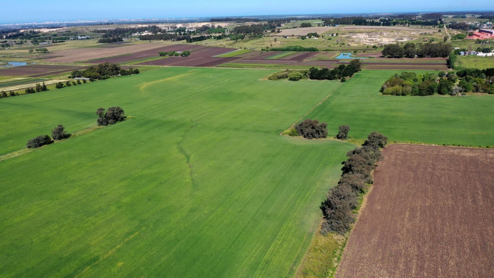 FINANCIA!!! IMPERDIBLE CAMPO AGRICOLO GANADERO 75 HAS BATAN