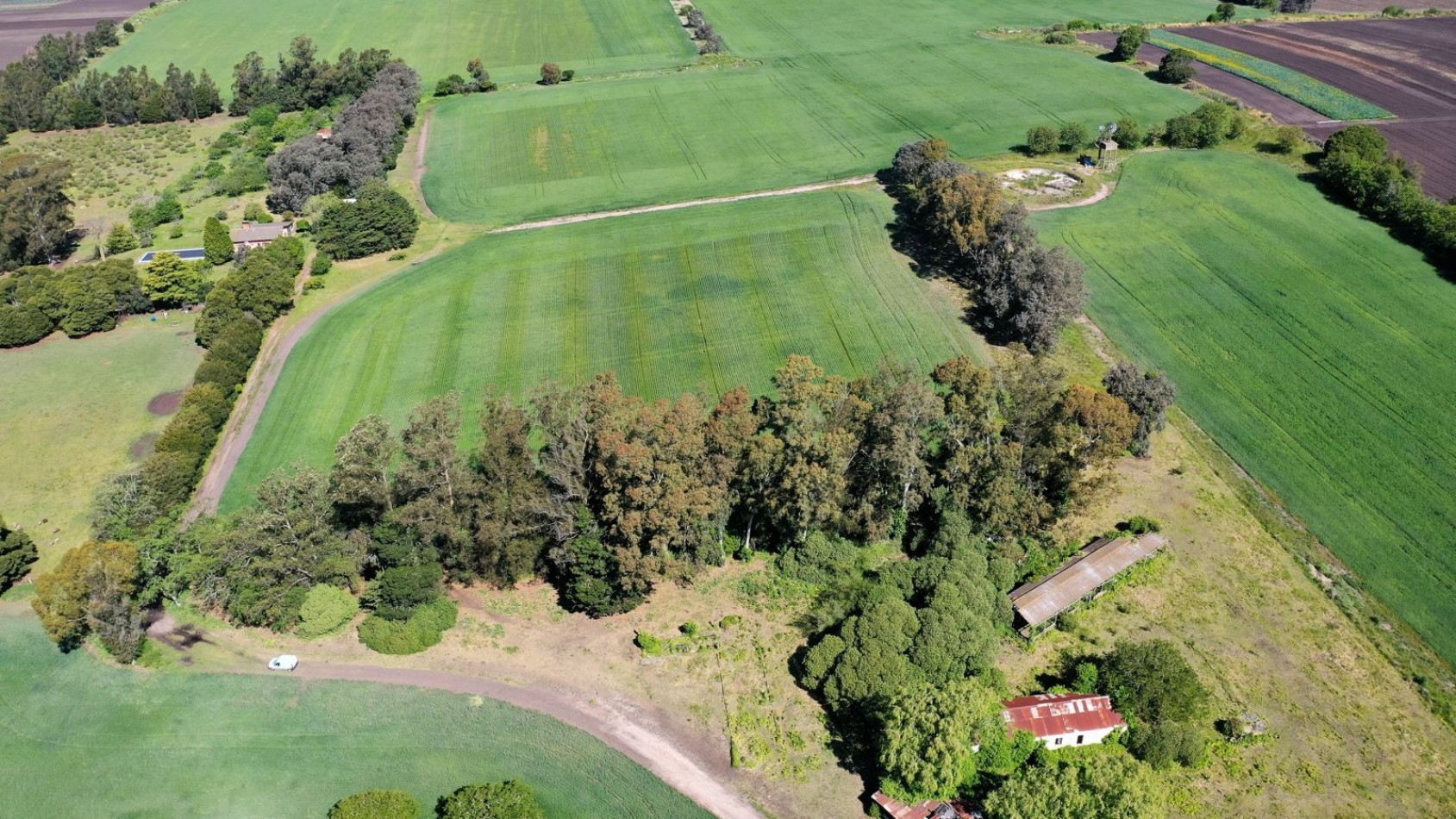 FINANCIA!!! IMPERDIBLE CAMPO AGRICOLO GANADERO 75 HAS BATAN