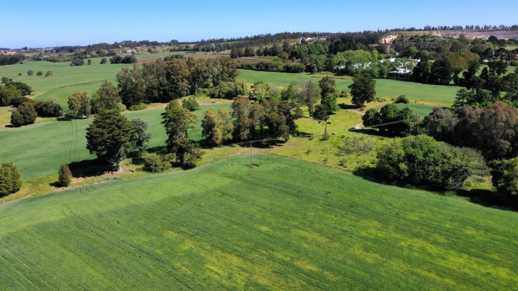 FINANCIA!!! IMPERDIBLE CAMPO AGRICOLO GANADERO 75 HAS BATAN