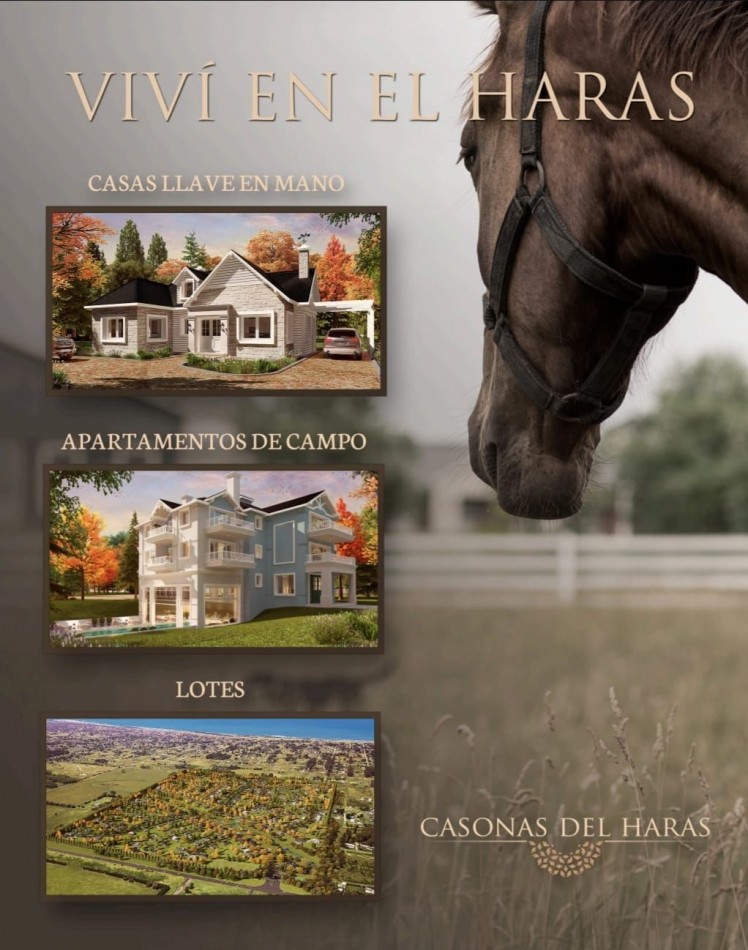 EXCELENTE LOTE CASONAS DEL HARAS LAS LOMADAS