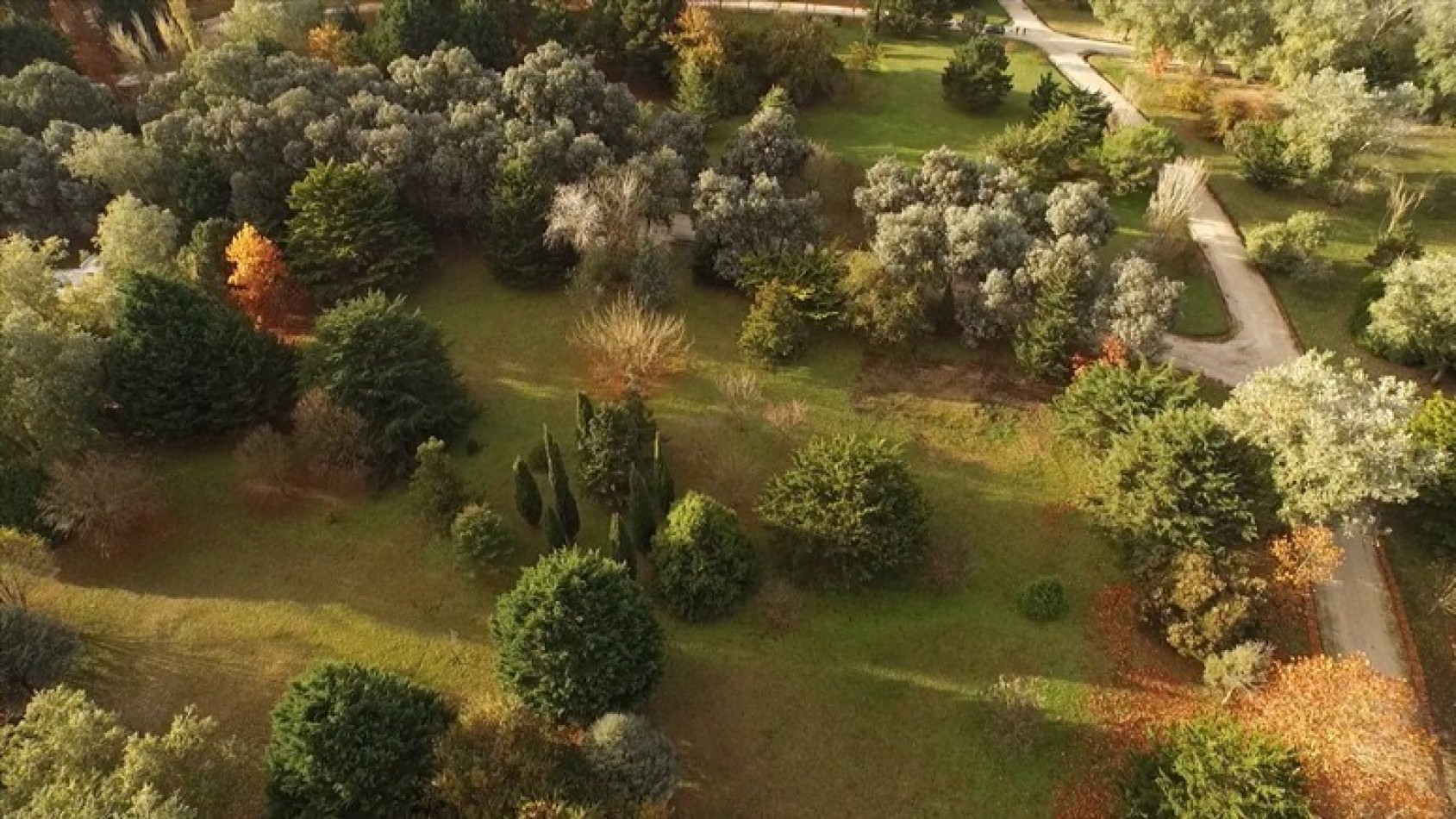VENTA DE HERMOSO LOTE DE PINARES DE SANTA CLARA