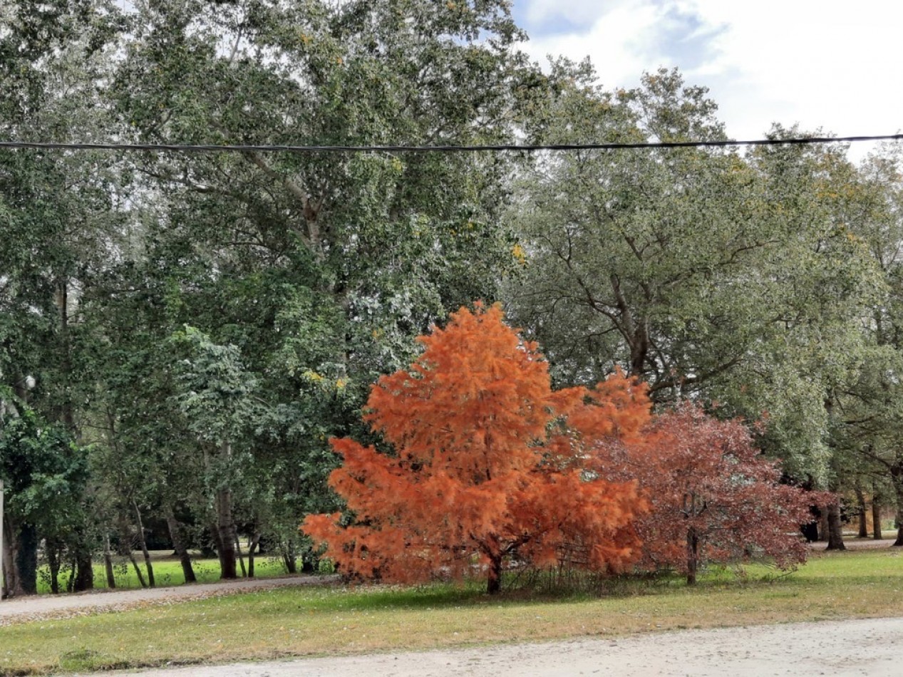 VENTA DE HERMOSO LOTE DE PINARES DE SANTA CLARA