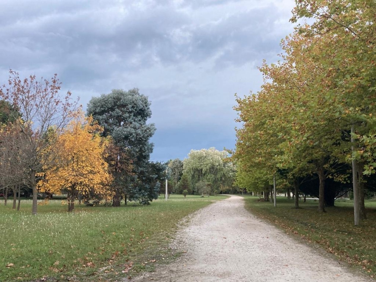 VENTA DE HERMOSO LOTE DE PINARES DE SANTA CLARA