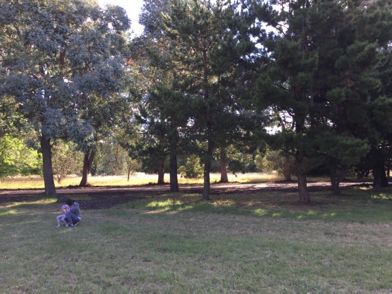 VENTA DE HERMOSO LOTE DE PINARES DE SANTA CLARA