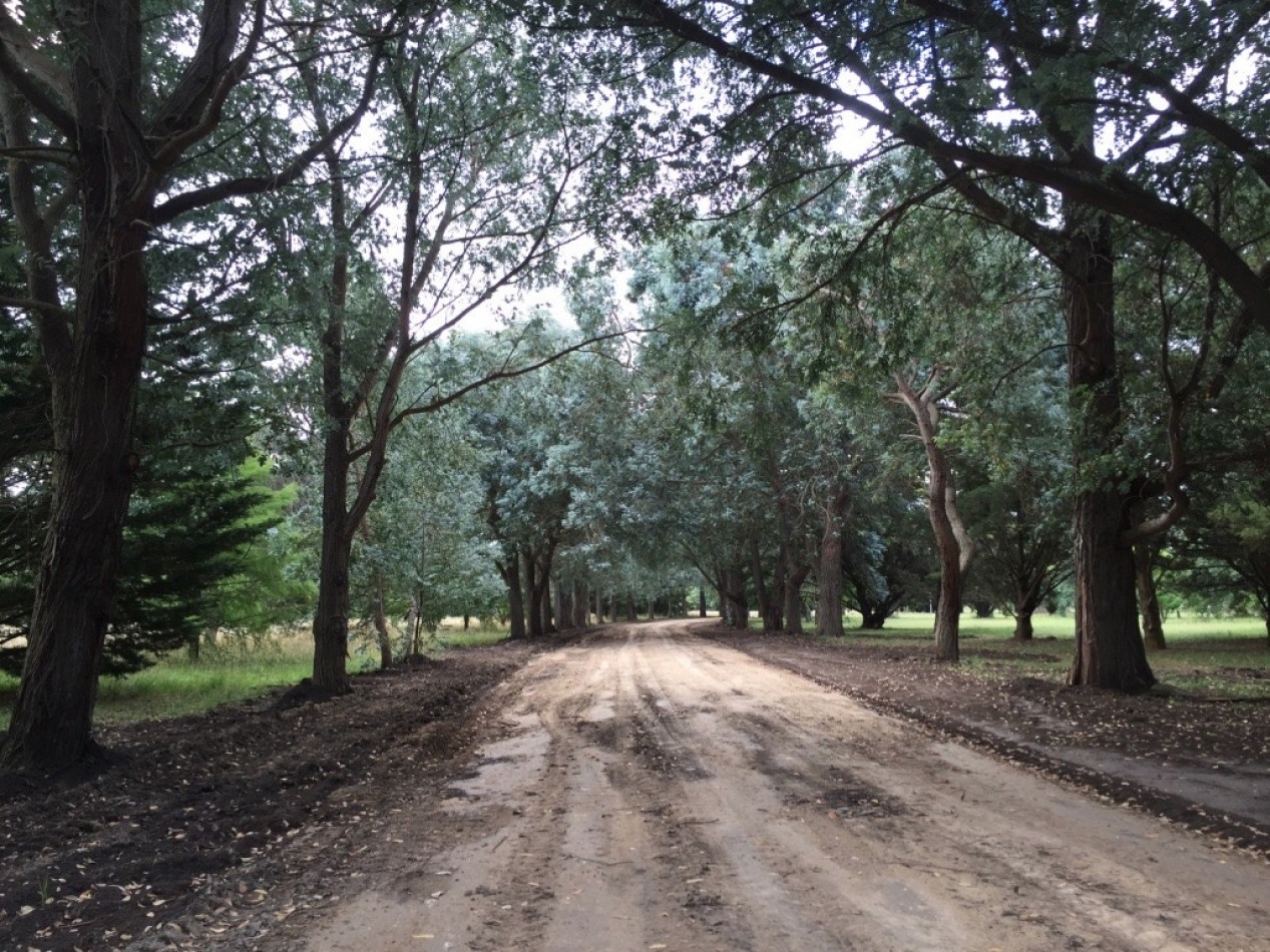 VENTA DE HERMOSO LOTE DE PINARES DE SANTA CLARA