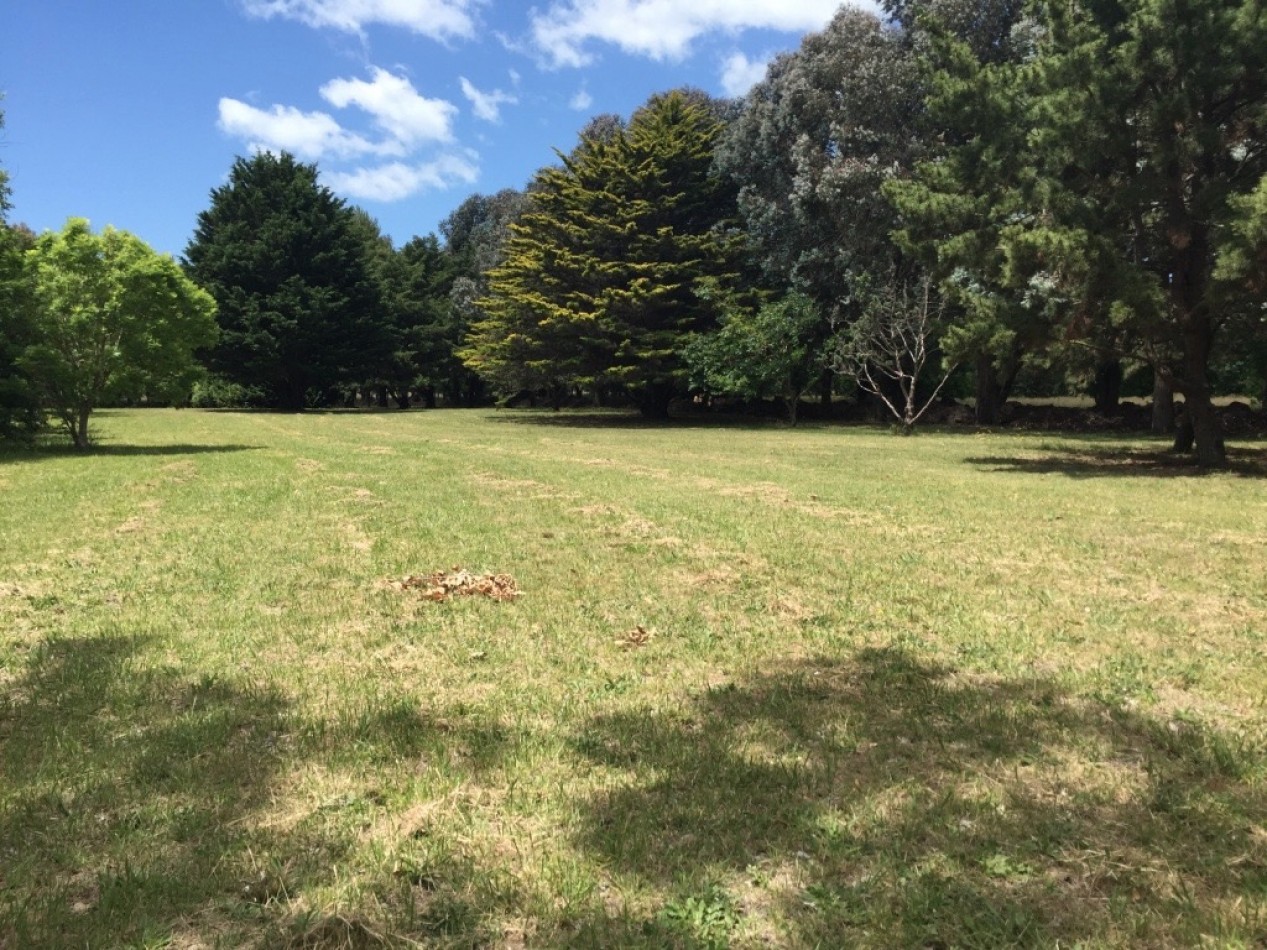VENTA DE HERMOSO LOTE DE PINARES DE SANTA CLARA