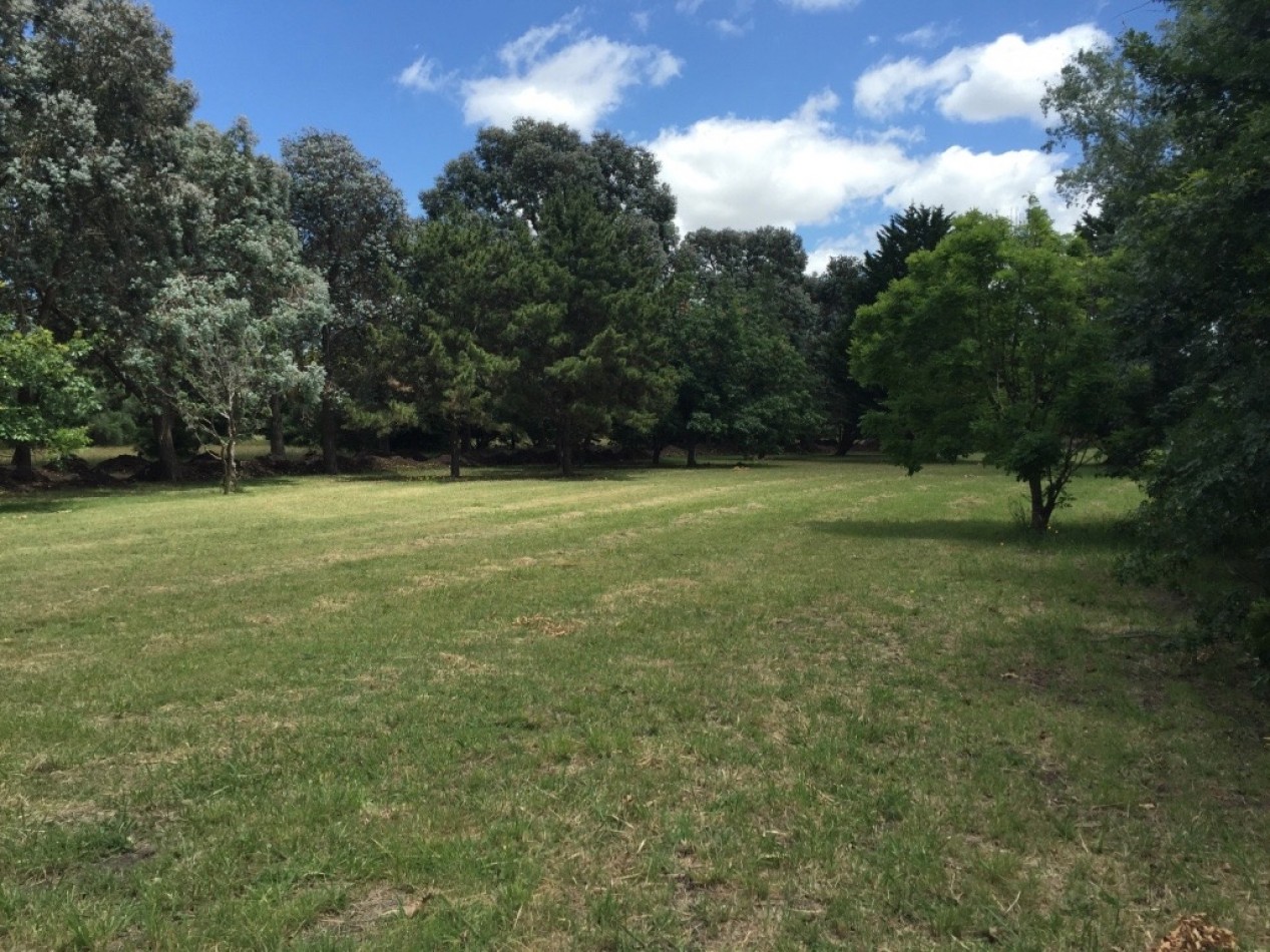 VENTA DE HERMOSO LOTE DE PINARES DE SANTA CLARA