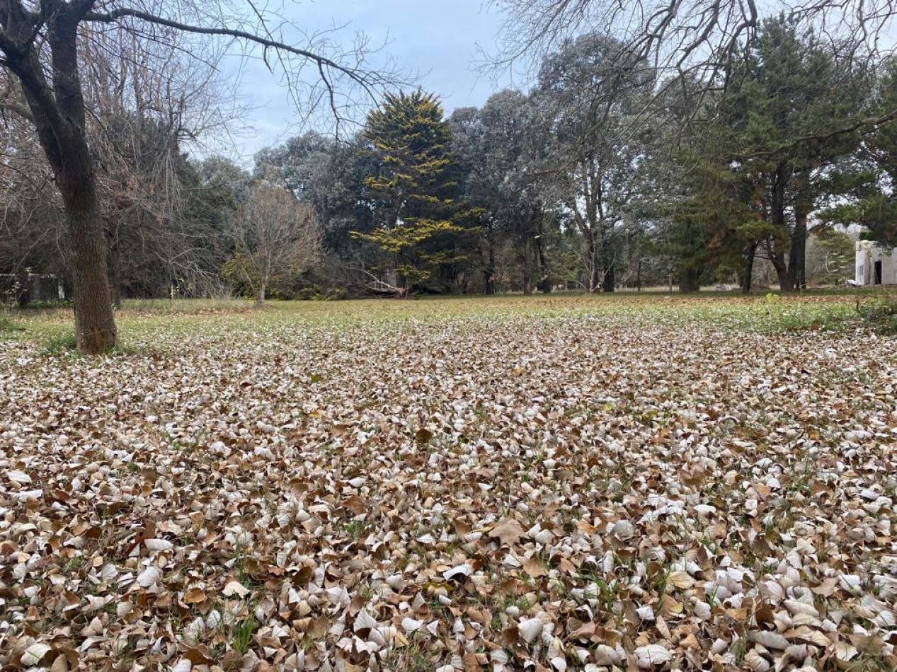 VENTA DE HERMOSO LOTE DE PINARES DE SANTA CLARA