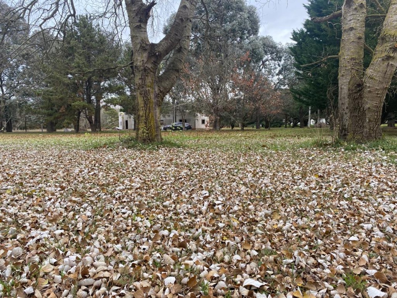 VENTA DE HERMOSO LOTE DE PINARES DE SANTA CLARA