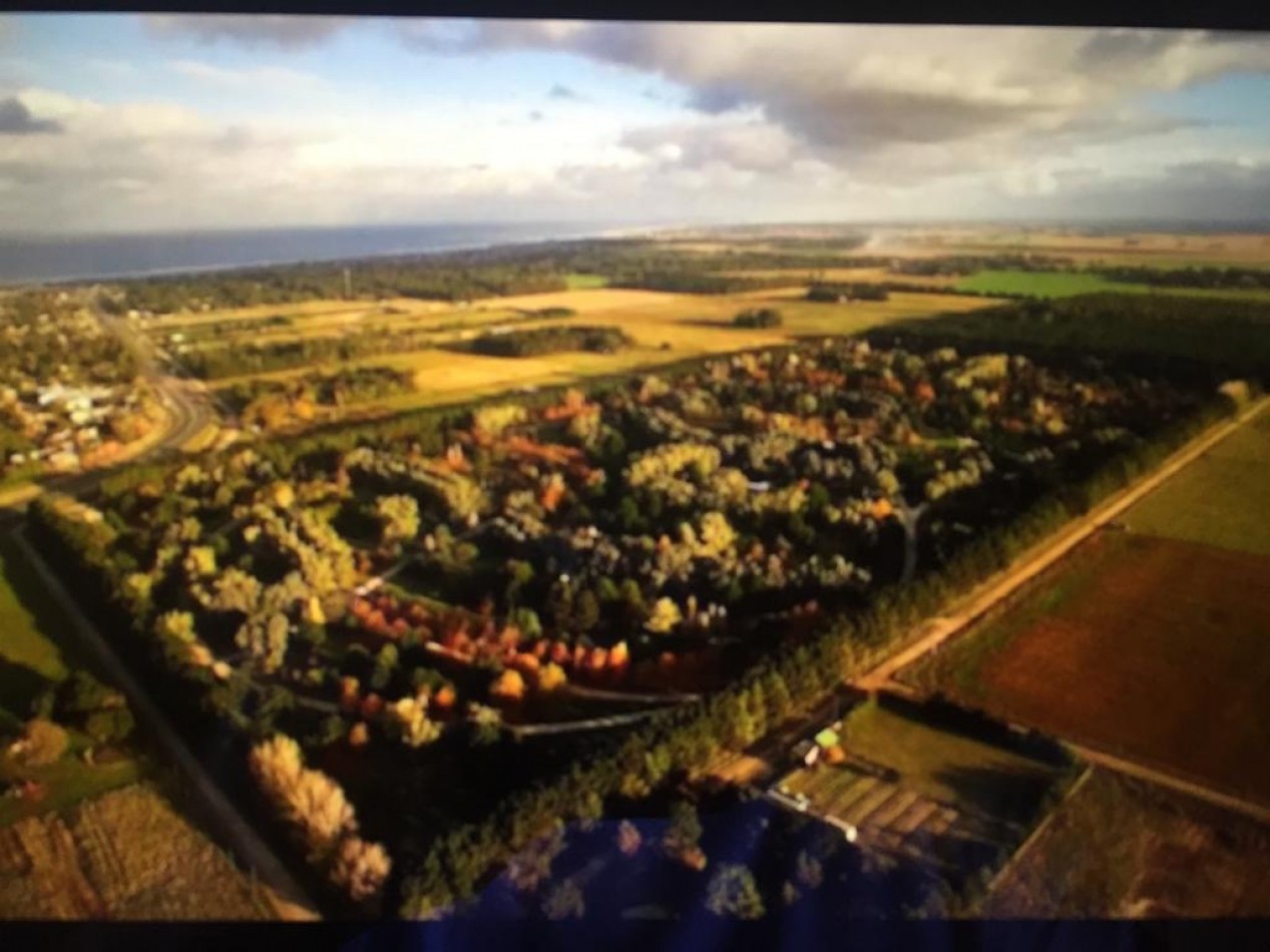 VENTA DE HERMOSO LOTE DE PINARES DE SANTA CLARA