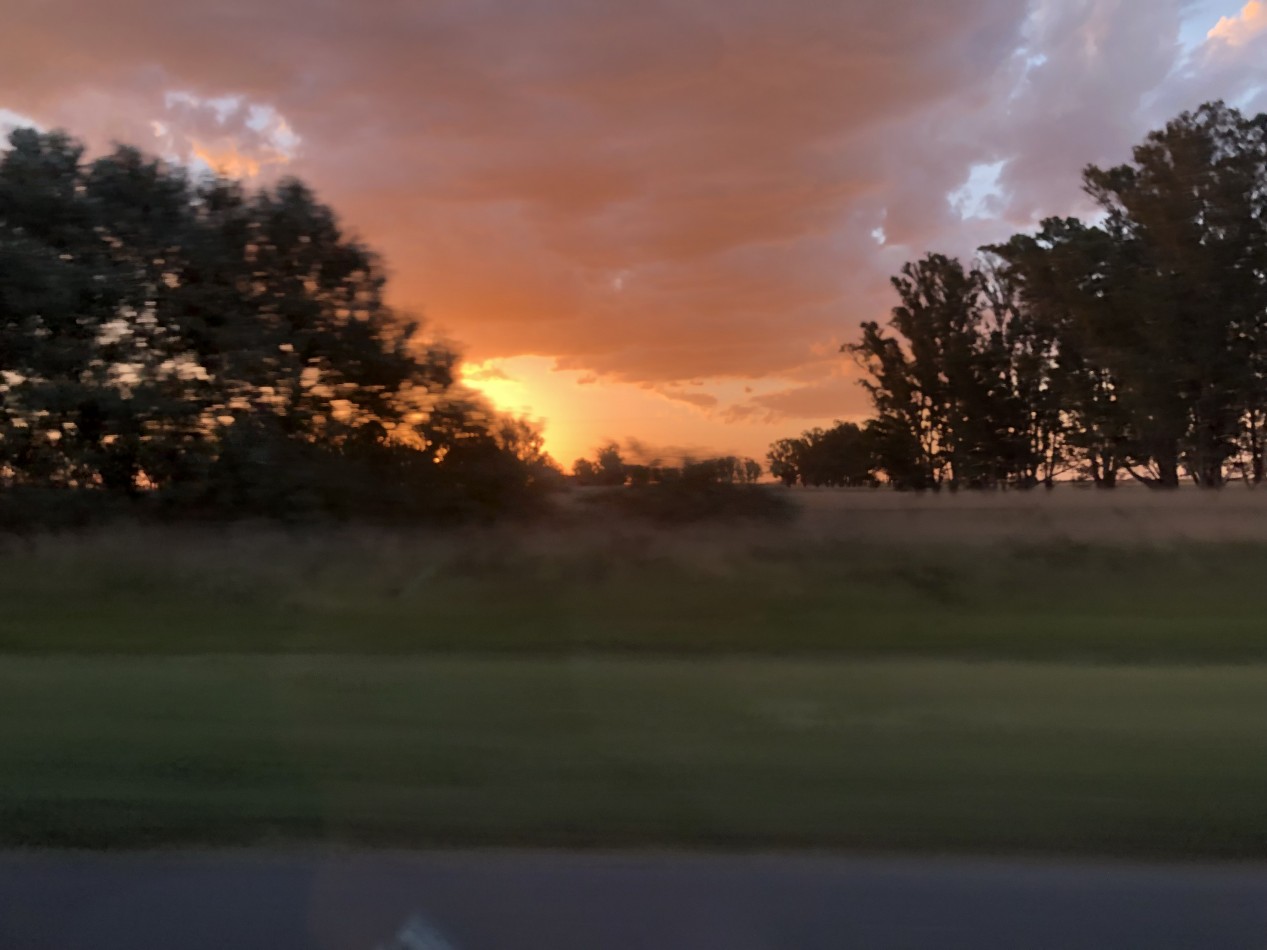 VENTA DE HERMOSO LOTE DE PINARES DE SANTA CLARA