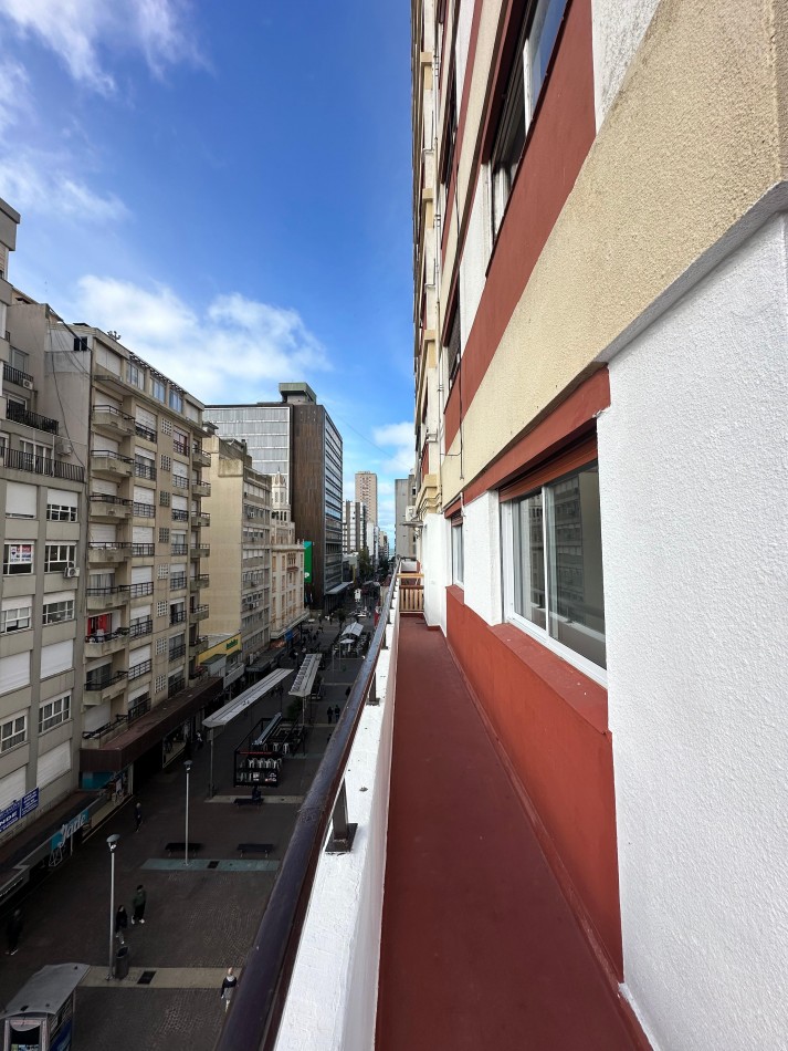 DEPTO 4 AMB C BALCON TERRAZA RECICLADO C VISTA PANORAMICA A PLAZA SAN MARTIN