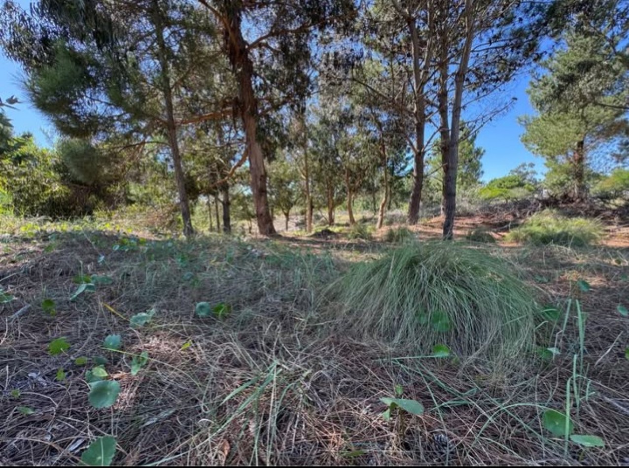VENTA | LOTE 924M EN BARRIO SENDEROS III ,COSTA ESMERALDA - PINAMAR