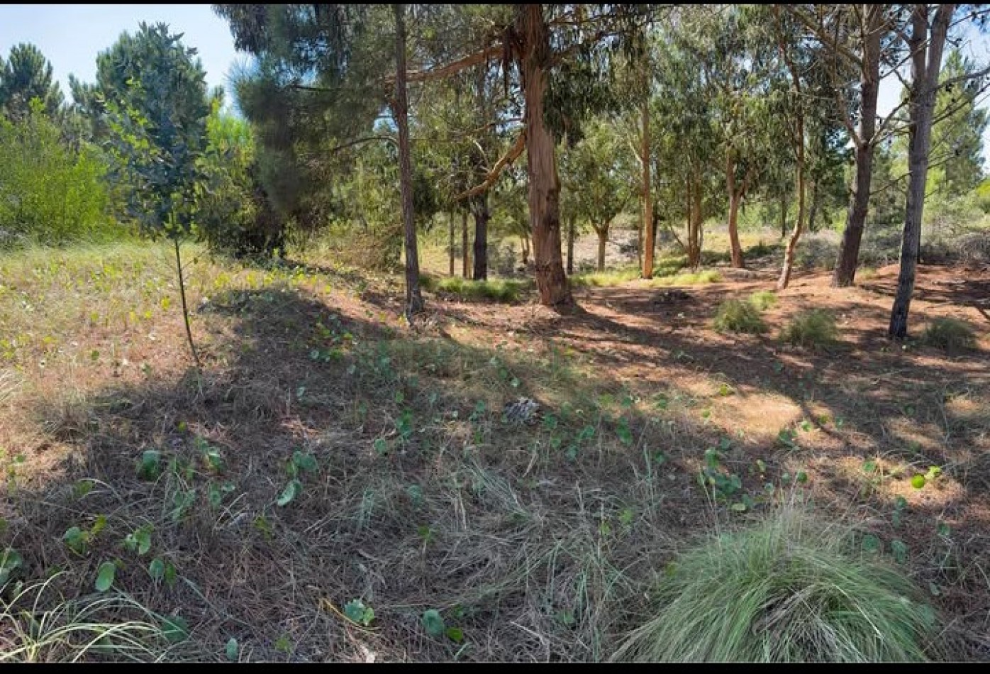 VENTA | LOTE 924M EN BARRIO SENDEROS III ,COSTA ESMERALDA - PINAMAR