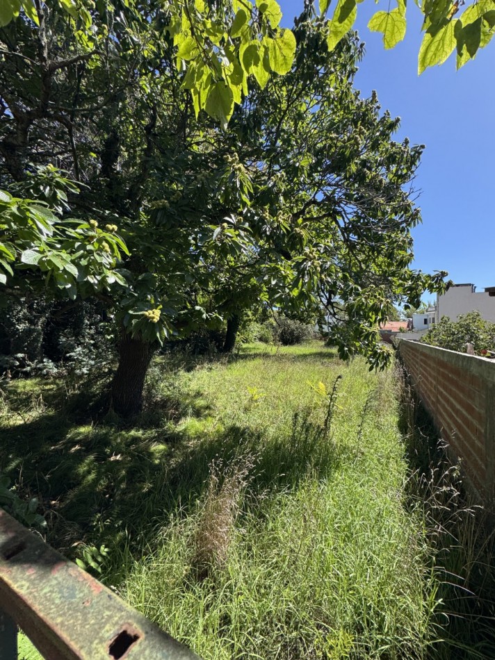 INCREIBLE LOTE EN VENTA R7 EN BARRIO LOS TRONCOS