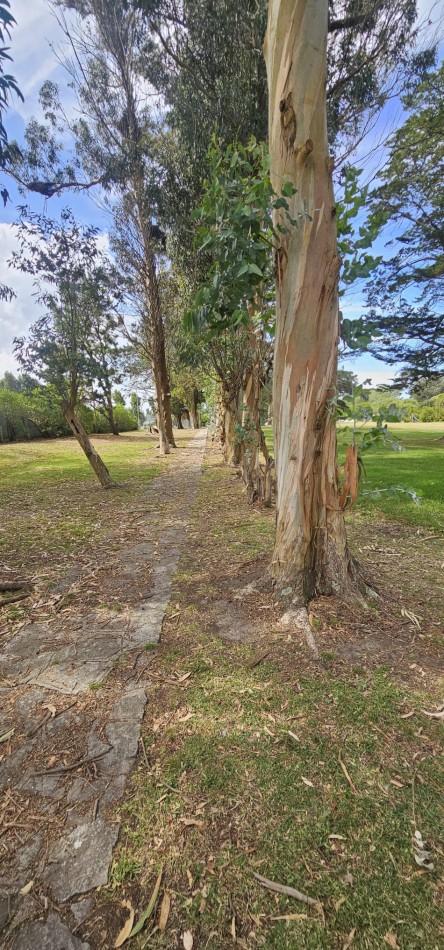 VENTA LOTE FRENTE AL CLUB HOUSE EN COUNTRY COSTA DEL SOL - MAR CHIQUITA