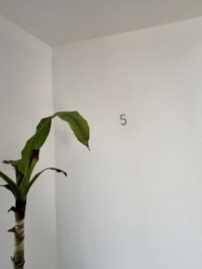 VENTA DEPARTAMENTO 3 AMBIENTES RCICLADO CON COCHERA EN PLAZA MITRE