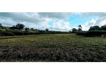 LOTE ESQUINA SANTA ISABEL CHAPADMALAL