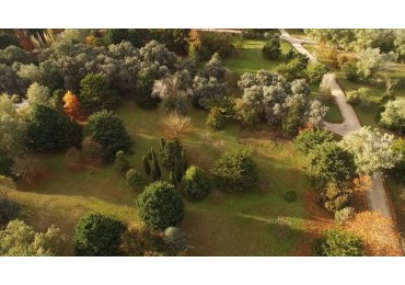 VENTA DE HERMOSO LOTE DE PINARES DE SANTA CLARA 