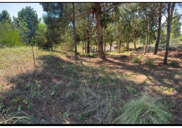VENTA | LOTE 924M EN BARRIO SENDEROS III ,COSTA ESMERALDA - PINAMAR